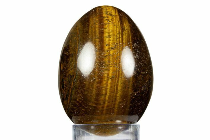 Polished Tiger's Eye Egg - South Africa #312674